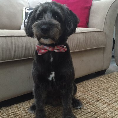 TimmyBoston's profile picture. 