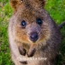Guy869Jo's profile picture. Quokka whisperer
Trans is a scam
I used to be among the crowd you're in with
#IStandWithIsrael #IStandWithJews