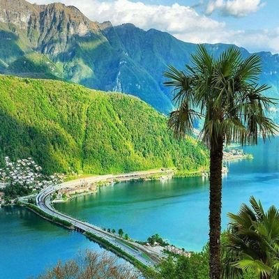 holymercy354355's profile picture. 