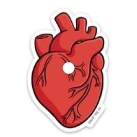 اآبوَ ٰ۫ ڰيٰۧاآنِ (@swhok2001) 's Twitter Profile