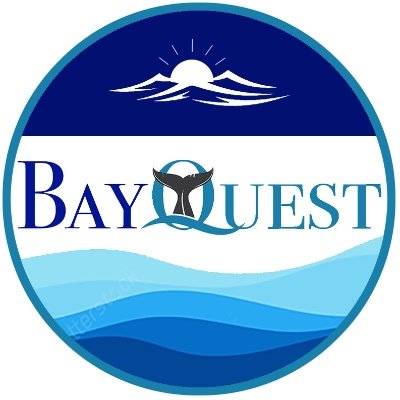Dedicated team of professional captains and marine science educators working to research, monitor and protect whales and other aquatic life on San Francisco Bay