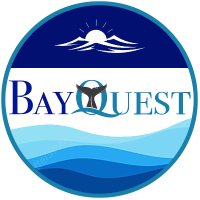 BayQuest (@bayquest_sf) Twitter profile photo