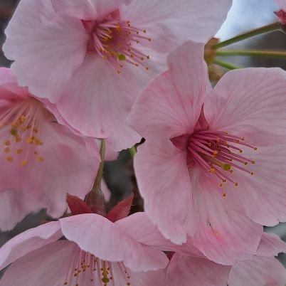 87　壁打ちさんのプロフィール画像