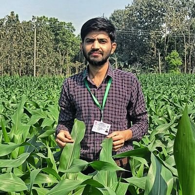 Parvesh21682327's profile picture. Assistant Scientist at Rice Research Station, Kaul (Kaithal), CCS Haryana Agricultural University, Hisar, Haryana, India
