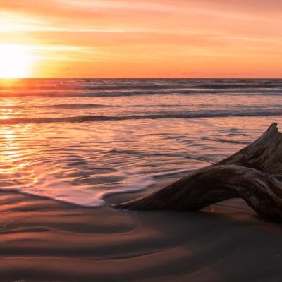 TetestC's profile picture. Mes opinions sont les miennes. Point.