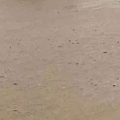 bhumblec's profile picture. 