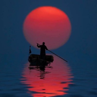 Alessio61245118's profile picture. 