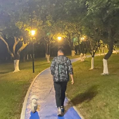 hideonbirds's profile picture. such a long way to go