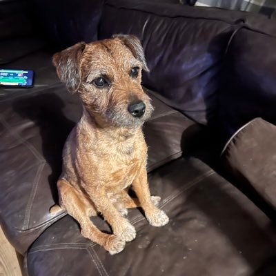 DaveyBee13's profile picture. Anti-Woke, Right Wing Thug, Engineer, Musician, Working Man of the People.