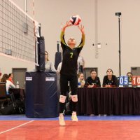 Callie Stemp (@calliestemp) 's Twitter Profile