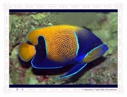 BhatShree's profile picture. 