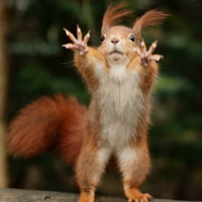 MMTLPTeaser8000's profile picture. 