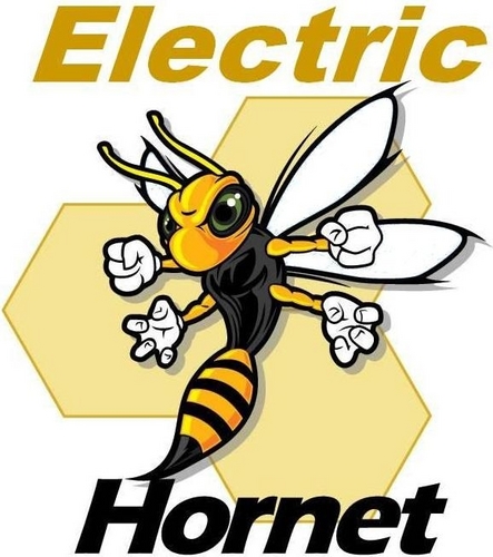 FIRST team 3976, The Electric Hornets is a group of enthusiastic students, excited about designing, creating, and competition.