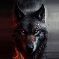 Adam Osak (@lonewolffpl) 's Twitter Profile