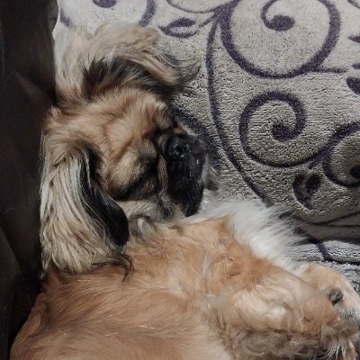 MandyBabe45's profile picture. 