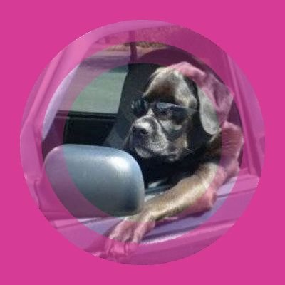 NGzYb68hzZLWJ67's profile picture. ⚙️ https://t.co/YJp2KuNa1w

#Beam2L2