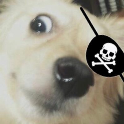 오타쿠さんのプロフィール画像