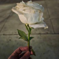 Ciarán O'Neill (@oneillauthor) 's Twitter Profile