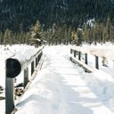 Lloyd Lucas Carter - @LloydLucas62476 - Twitter