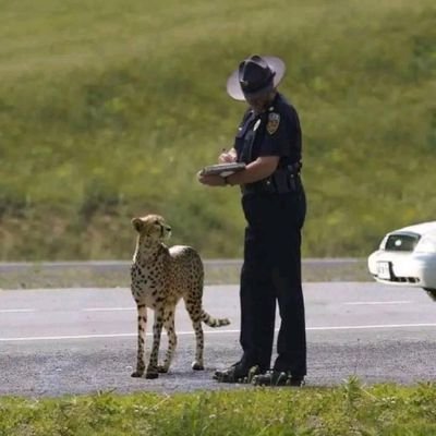 me4hul's profile picture. કર્મયોગી.