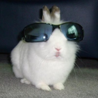 thxyounext's profile picture. 