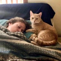 JamieN (@jamieluvsaj) 's Twitter Profile