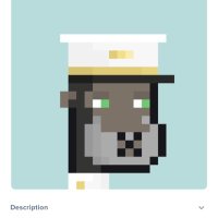 XRpizzle (@crzyface6) 's Twitter Profile