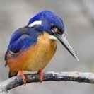 EastAnglear's profile picture. Atheism. Biological reality. There are only two sexes - male and female.