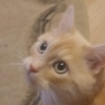 AirdropZrzut's profile picture. 
