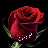 روح القلم(@Arabicliteratu) 's Twitter Profile Photo