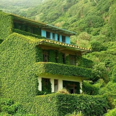 Reza13845's profile picture. زندگی میگذره خواهی نخواهی