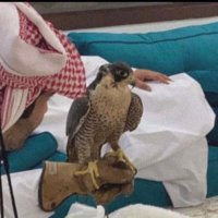 عجب (@2hrll) 's Twitter Profile