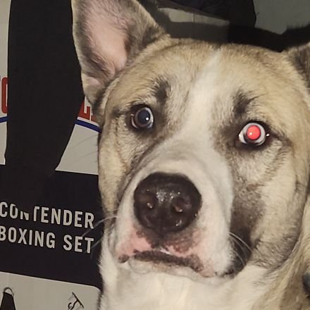 Tecsupport12's profile picture. I like trucks