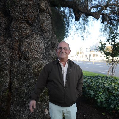 Pedro Araya Corominas Profile