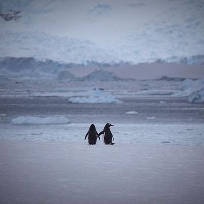 Mariavm27's profile picture. 