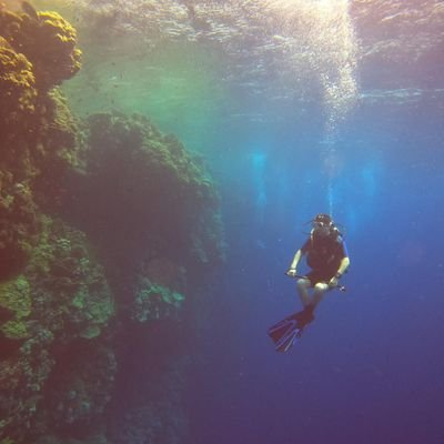 Siola_14's profile picture. 29 🇫🇷 E-sport enjoyer
Fan TDS 🌊🦈 💙 et FNC fanboy depuis 2013 🧡🖤 
Fada de nature et tout ce qui touche à l'océan 🌊