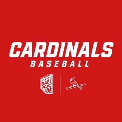 SAMBA 18U BAEL Cardinals Profile