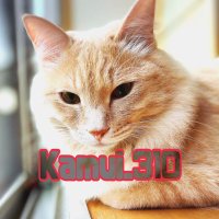 Kamui_310 (@310kamui) 's Twitter Profile Photo Kamui_310 (@310kamui) 's Twitter Profile Photo