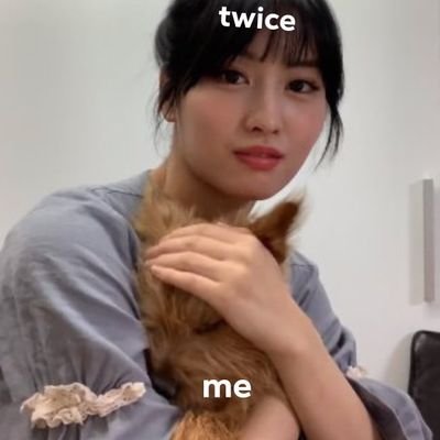 Twice Lover