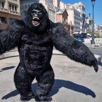 bichinho_comentador (@bichinho_coment) 's Twitter Profile
