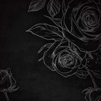 Asma. (@asmavii) Twitter profile photo