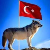 kurttrader (@blgnzngn) Twitter profile photo