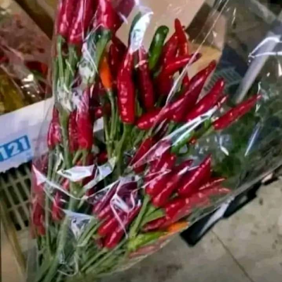 Imperata085694's profile picture. 