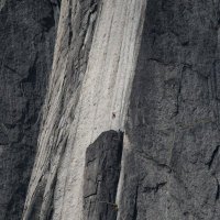 MoJo (@mojoisop) 's Twitter Profile