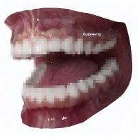 Scherer Windows XP (@scherer32bits) 's Twitter Profile