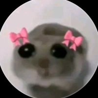 Z̷a̷h̷r̷a̷..🖤'' (@z_a_h_5899) 's Twitter Profile