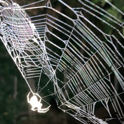 GoodSam0891's profile picture. 📰🔎👀Just trying to keep up with current events!