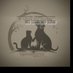 st.mark-dog-shelter (@onlineowin59068) Twitter profile photo st.mark-dog-shelter (@onlineowin59068) Twitter profile photo