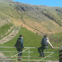 Addinellie Morgan (@annelihoward) 's Twitter Profile