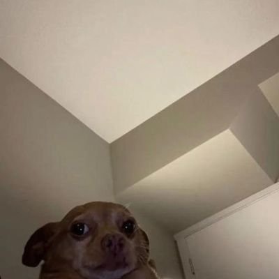 kim_moonform's profile picture. Think for yo'self